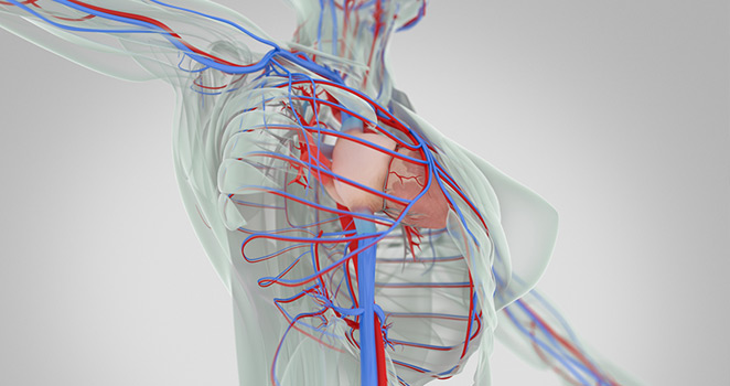 Computer generated illustration of a CT scan