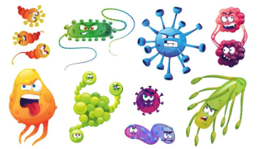 illustrated images of germs and bacteria