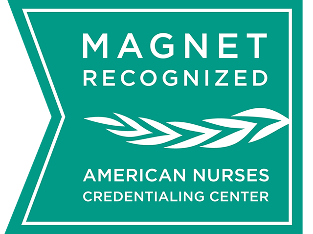Magnet Recognition Program