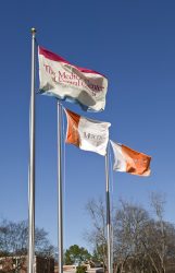 Flags flying in front of The Medical Center