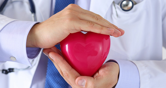 Doctor cupping a plastic heart in his hands